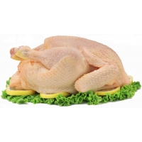 POLLO ENTERO LIMPIO PUJANTE 1.5 KG APROX.