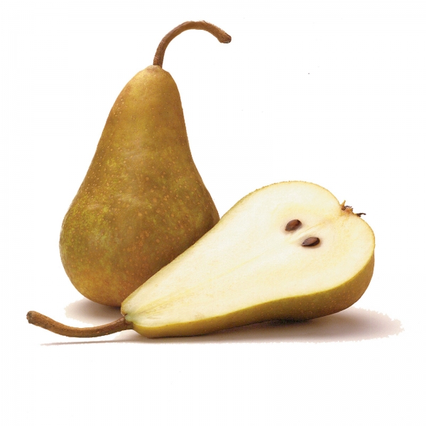 PERA CONFERENCIA 1KG