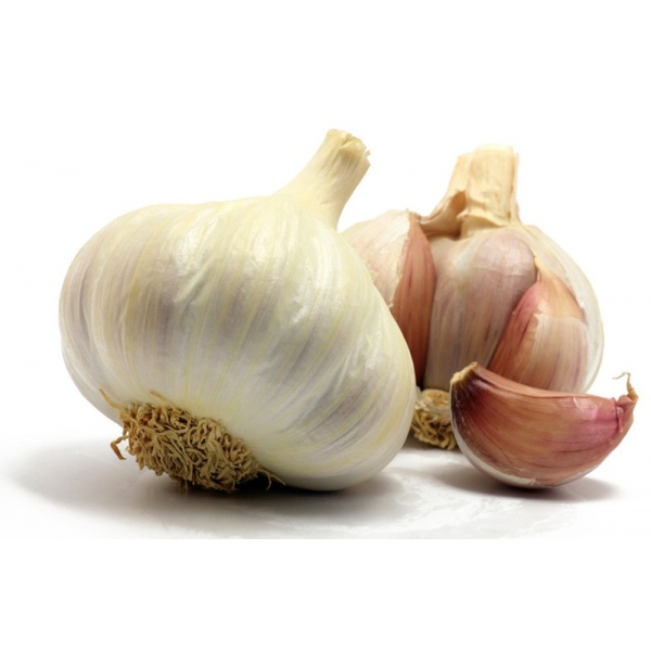 TARTA FRIGO VIENNETTA VAINILLA 650ML