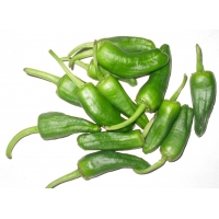 TARTA FRIGO VIENNETTA VAINILLA 650ML