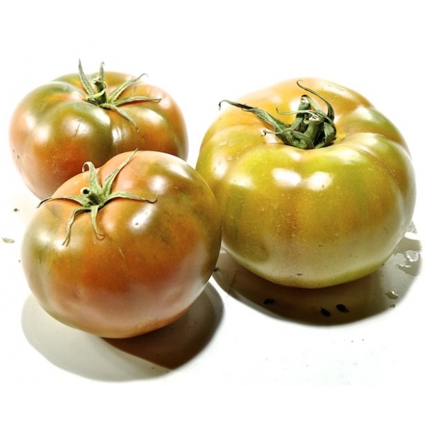 TARTA FRIGO VIENNETTA VAINILLA 650ML