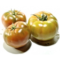 TARTA FRIGO VIENNETTA VAINILLA 650ML