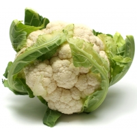 TARTA FRIGO VIENNETTA VAINILLA 650ML