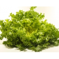 TARTA FRIGO VIENNETTA VAINILLA 650ML