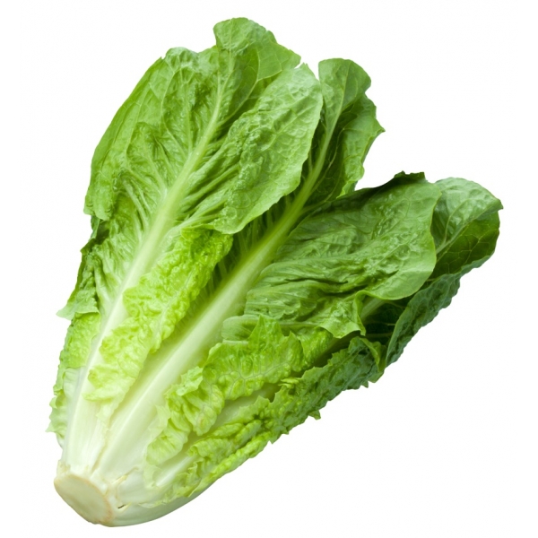 TARTA FRIGO VIENNETTA VAINILLA 650ML