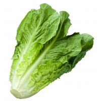 TARTA FRIGO VIENNETTA VAINILLA 650ML