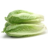 TARTA FRIGO VIENNETTA VAINILLA 650ML