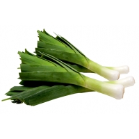 TARTA FRIGO VIENNETTA VAINILLA 650ML