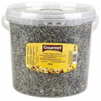 PIPAS  TOSTADAS SAL 3 KG