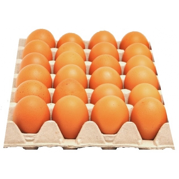 ALLIOLI  CUBO 1850ML