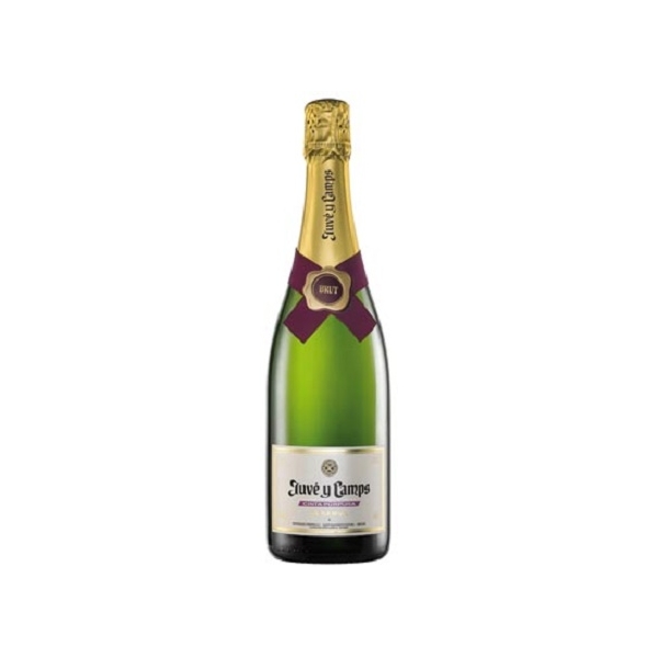 CAVA JUVE CAMPS RESERVA BRUT CINTA PURPURA 75CL