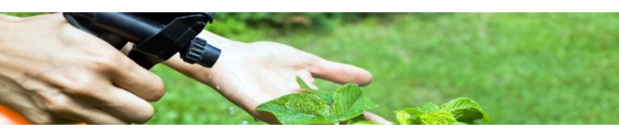 INSECTICIDAS Y RATICIDAS